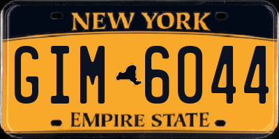 NY license plate GIM6044