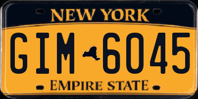 NY license plate GIM6045