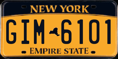 NY license plate GIM6101