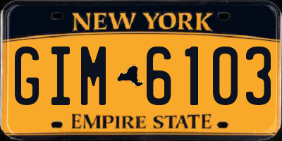 NY license plate GIM6103