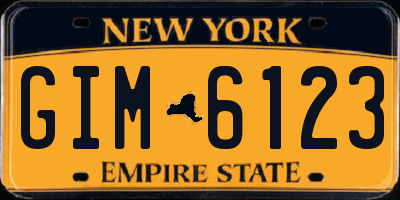 NY license plate GIM6123