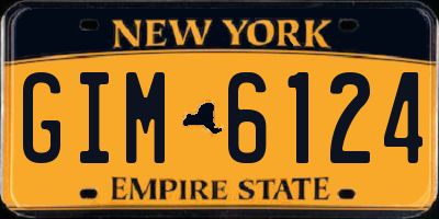 NY license plate GIM6124