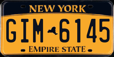 NY license plate GIM6145
