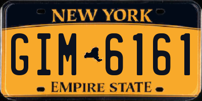 NY license plate GIM6161