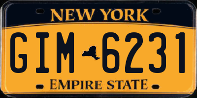 NY license plate GIM6231