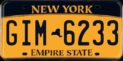 NY license plate GIM6233