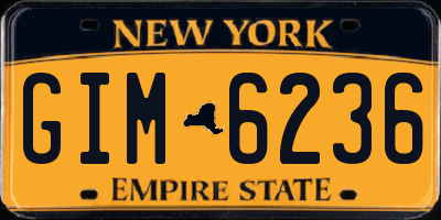 NY license plate GIM6236