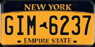 NY license plate GIM6237
