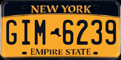 NY license plate GIM6239