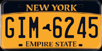 NY license plate GIM6245