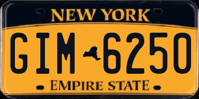 NY license plate GIM6250