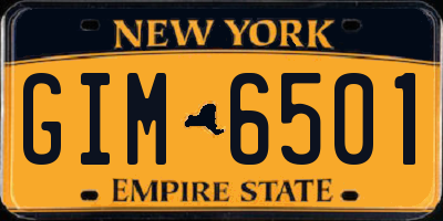 NY license plate GIM6501