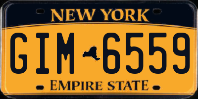 NY license plate GIM6559