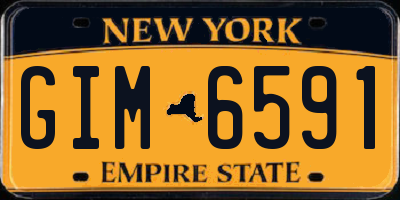 NY license plate GIM6591