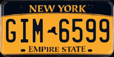 NY license plate GIM6599
