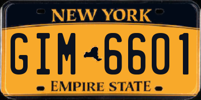 NY license plate GIM6601