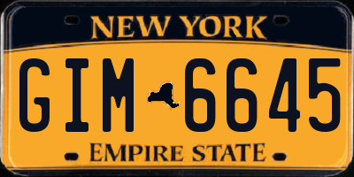 NY license plate GIM6645