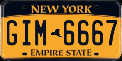NY license plate GIM6667