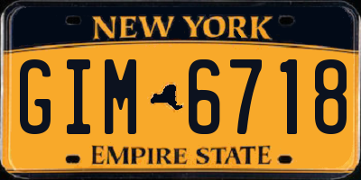 NY license plate GIM6718
