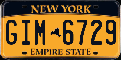 NY license plate GIM6729