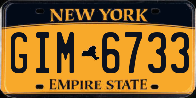 NY license plate GIM6733