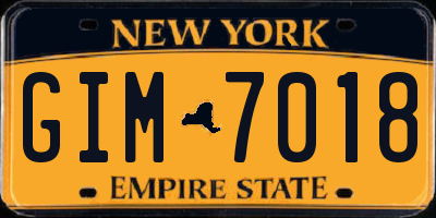 NY license plate GIM7018