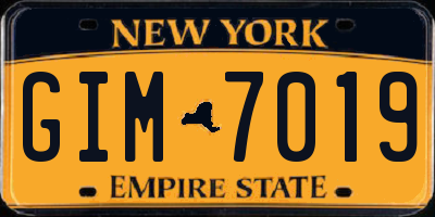 NY license plate GIM7019