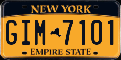 NY license plate GIM7101