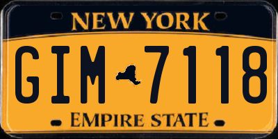 NY license plate GIM7118