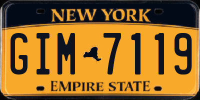 NY license plate GIM7119