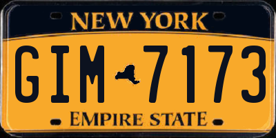 NY license plate GIM7173