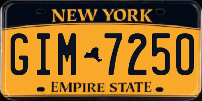 NY license plate GIM7250