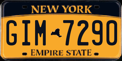 NY license plate GIM7290