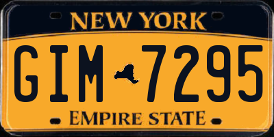 NY license plate GIM7295