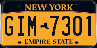NY license plate GIM7301
