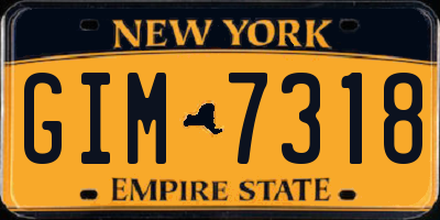 NY license plate GIM7318