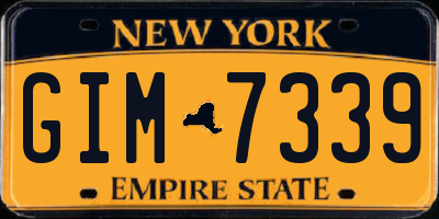 NY license plate GIM7339