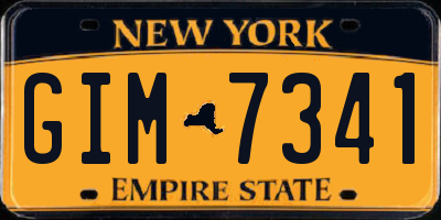 NY license plate GIM7341
