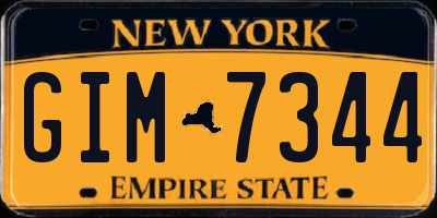 NY license plate GIM7344