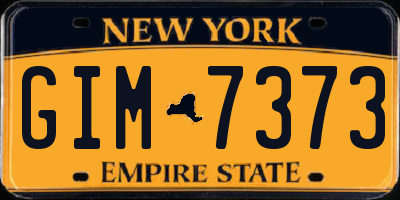 NY license plate GIM7373