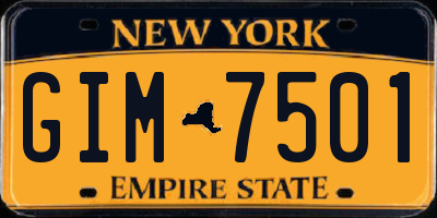 NY license plate GIM7501