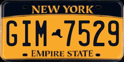 NY license plate GIM7529