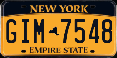 NY license plate GIM7548
