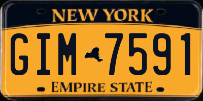 NY license plate GIM7591