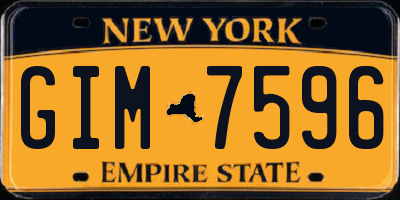 NY license plate GIM7596