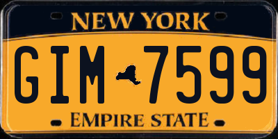 NY license plate GIM7599