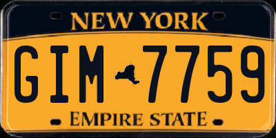 NY license plate GIM7759