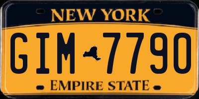 NY license plate GIM7790