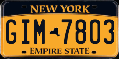 NY license plate GIM7803