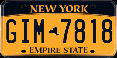 NY license plate GIM7818